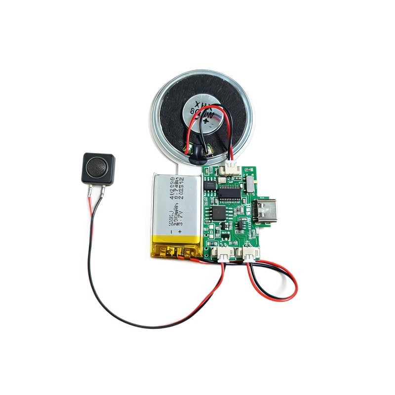 Audio Music Image - Módulo de Sonido Inalámbrico Recargable, Chip